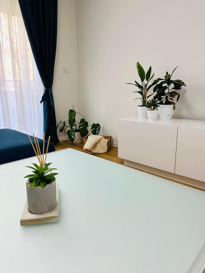 Daylight Apartment سكوبجي المظهر الخارجي الصورة